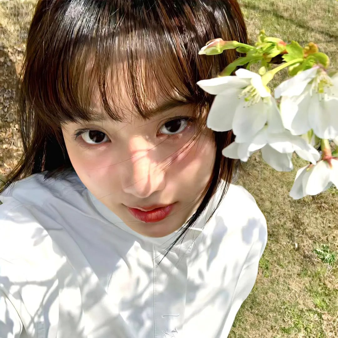 风流四美人